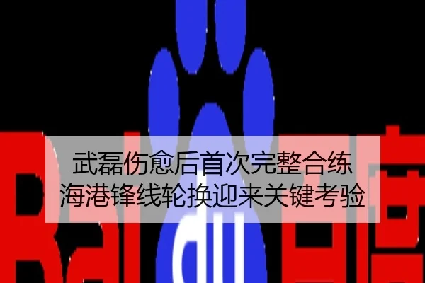 武磊伤愈后首次完整合练 海港锋线轮换迎来关键考验