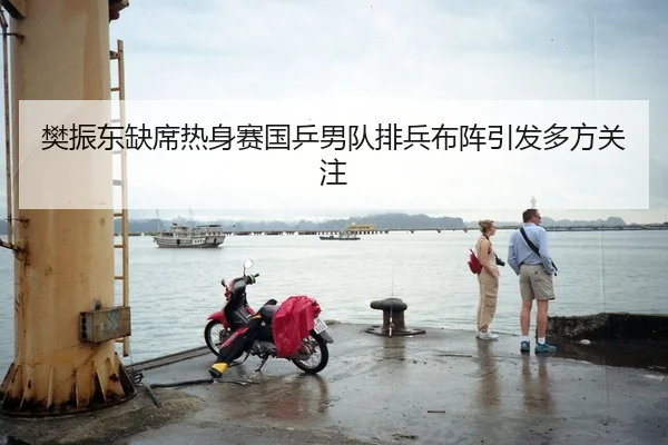 樊振东缺席热身赛国乒男队排兵布阵引发多方关注